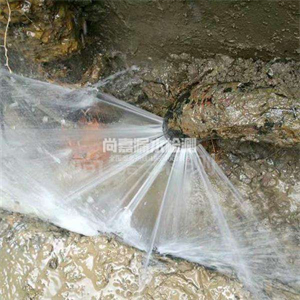 保康自来水管道漏点检测